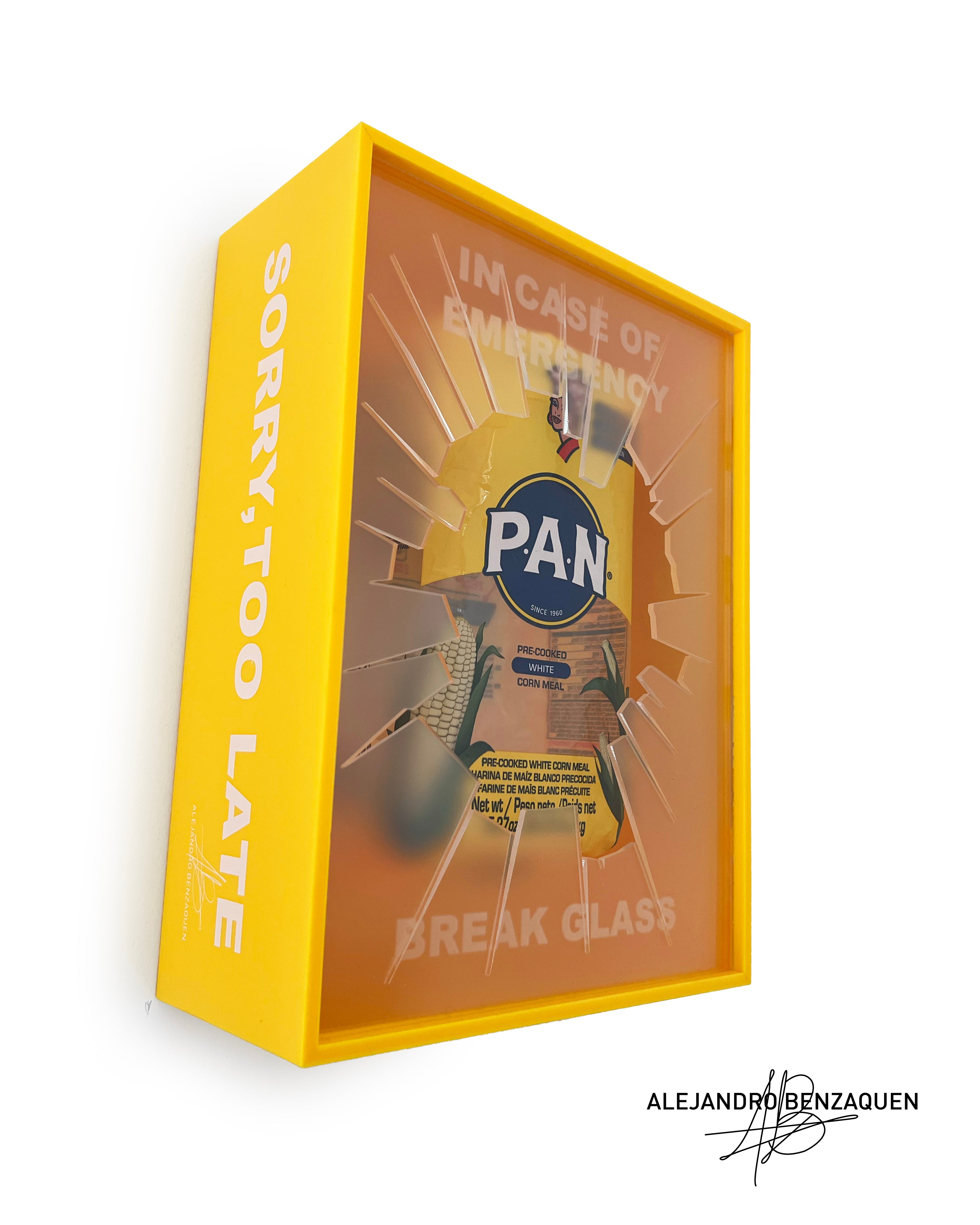 P.A.N. - Sorry,Too Late Box